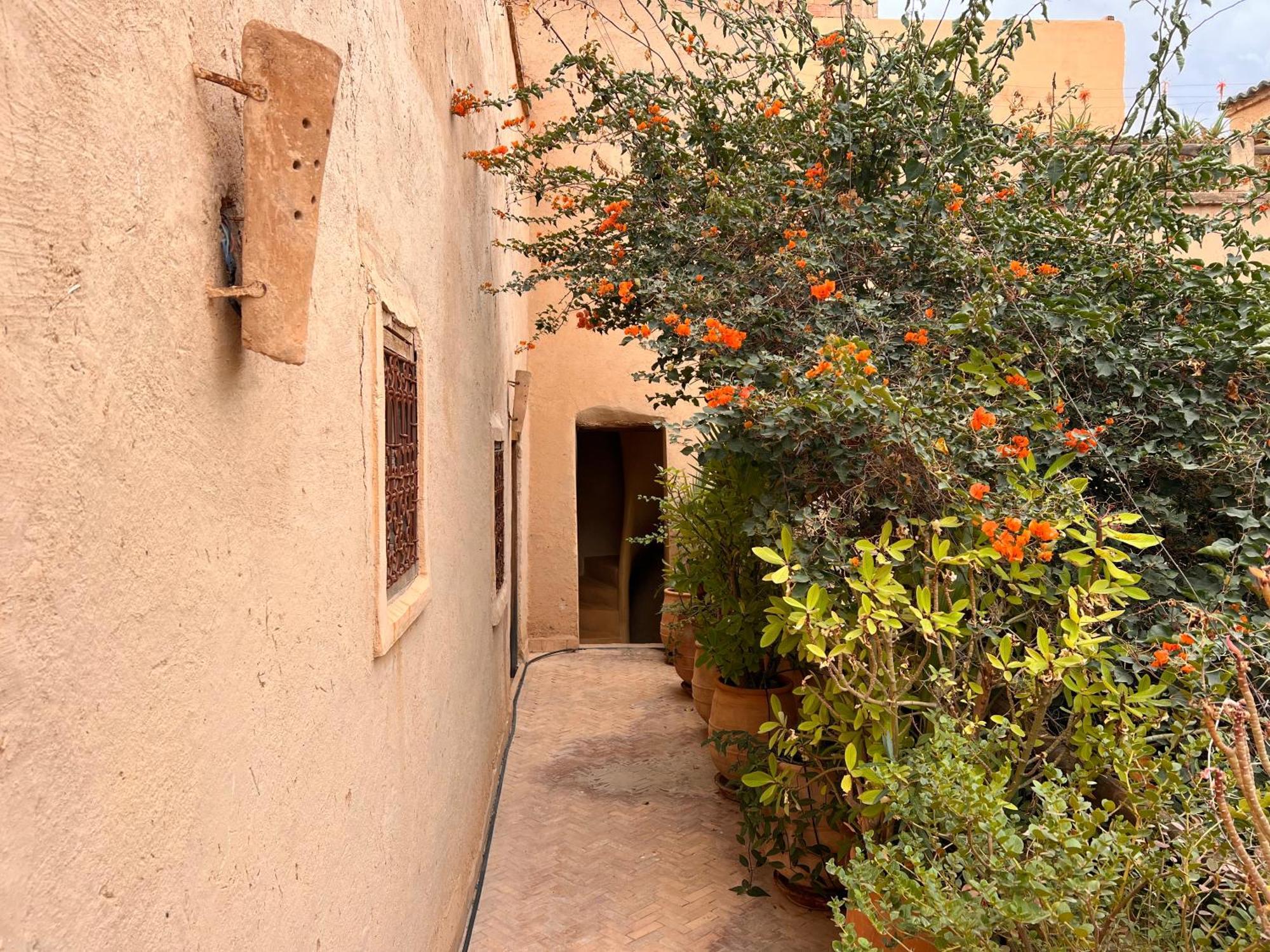 Dar Les Dattiers Taroudant Buitenkant foto